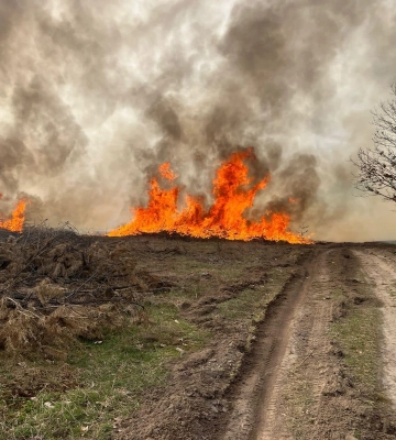 В Луцькому районі на бруцельоз перевірили понад 13 тисяч свійських тварин