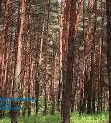 Державі повернули землі лісового фонду Дніпропетровщини вартістю 86 мільйонів гривень