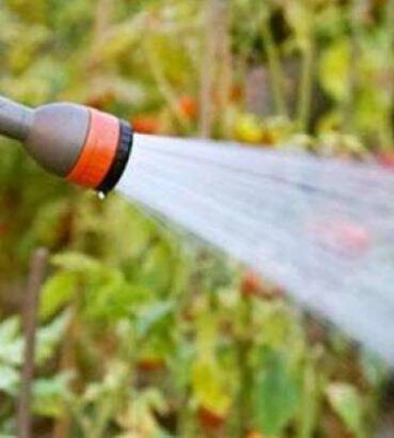 У Дніпрі стартує поливний сезон: скільки коштує вода у 2024 році
