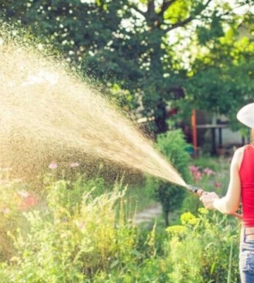 У Дніпрі стартує поливний сезон: скільки коштує вода у 2024 році