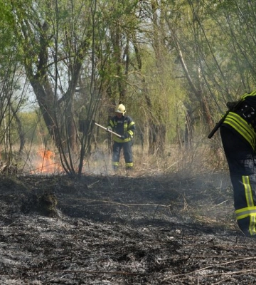 На Гнідавському болоті зайнявся очерет 