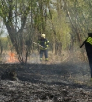 У Луцьку горіло Гнідавське болото