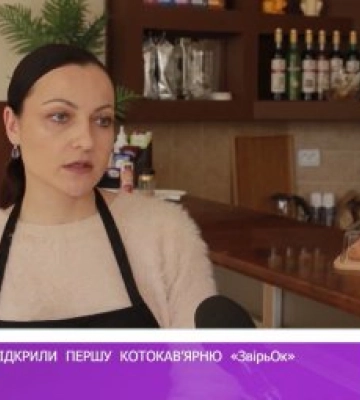 Випити каву в компанії котиків відтепер можна і в Ужгороді