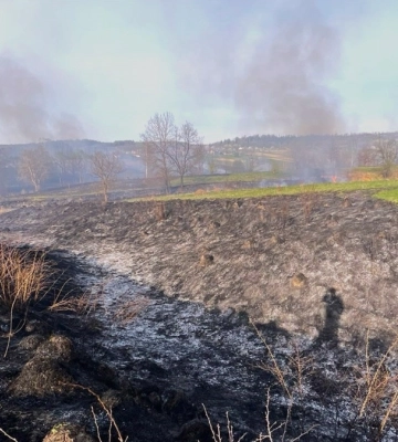 Під Франківськом палає міське сміттєзвалище | деталі цієї і ще 21 пожежі в екосистемах області