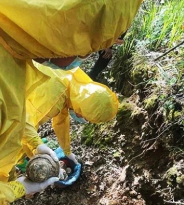 У Шевченківському районі Львова виявили ртуть