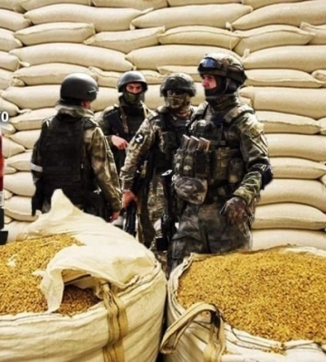 Від початку року окупанти вивезли з окупованого Маріуполя понад 50 тисяч тонн зерна - Центр нацспротиву