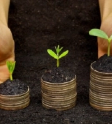 На Рівненщині на 16% зросли надходження від сплати за землю