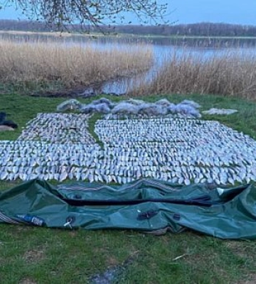 На Криворіжжі затримали порушників, які наловили риби на 2,7 мільйона гривень
