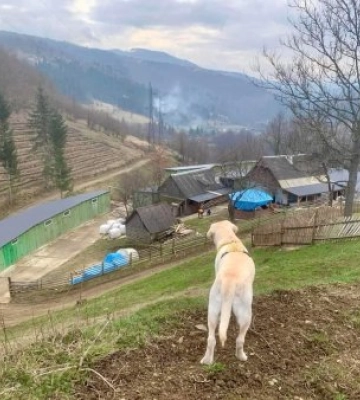 У найвисокогірнішому районі України вирощуватимуть виноград