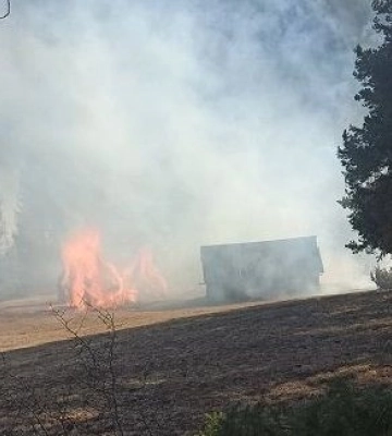 В Киеве и ряде областей объявили о чрезвычайном уровне пожарной опасности