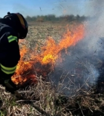 У дачному масиві в Шеплі через підпалене сміття сталася пожежа