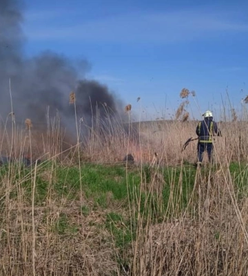 Горіло 5 га: деталі 16 пожеж в екосистемах Франківщини
