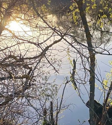 У річці Сула на Полтавщині знайшли тіло 9-річного хлопчика: що про це відомо
