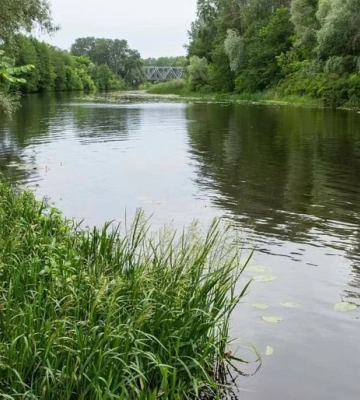 У річці Сула на Полтавщині знайшли тіло 9-річного хлопчика: що про це відомо