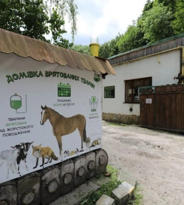 У Домівці врятованих тварин безплатно стерилізуватимуть котів та собак