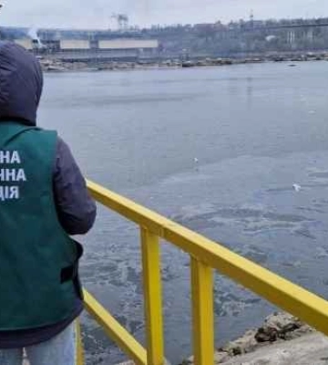 В Запорожье из-за ударов по ДнепроГЭС массово гибнет рыба