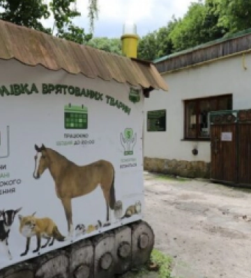 У Домівці врятованих тварин стартувала акція зі стерилізації котів та собак: як записатися