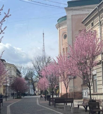Куди піти у Франківську 11 квітня