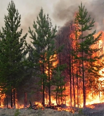 З 11 квітня майже по всій території України оголошено надзвичайний рівень пожежної небезпеки