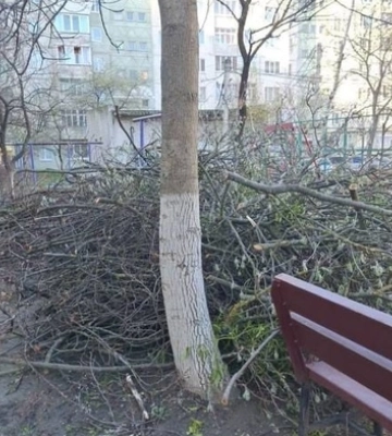 У Луцьку голову ОСББ насварили муніципали 