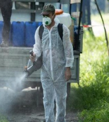 Знищення амброзії у Полтаві й 35 млн на відбудову — головне за 11 квітня