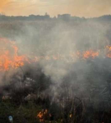 На Львівщині за добу, що минула вогнеборці ліквідували дев&#039;ять пожеж сухої трави