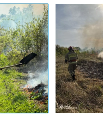 6 разів за добу закарпатські рятувальники виїжджали на гасіння пожеж в екосистемах