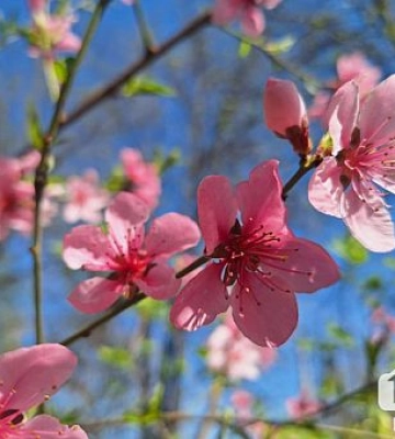 Тепло та сухо: якою буде погода на вихідних у Кривому Розі