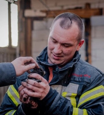 У Сумах рятувальники під час гасіння пожежі врятували 5 цуценят (фото, відео)