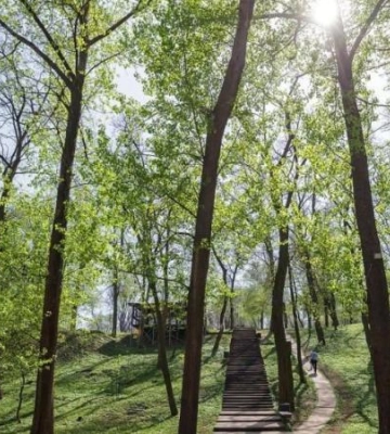 Весняна краса парку &quot;Зелений Гай&quot; у Дніпрі: Зелена перлина розквітає
