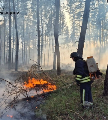 На Харківщині через російські обстріли сталися лісові пожежі