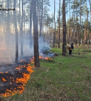 На Харківщині через російські обстріли сталися лісові пожежі
