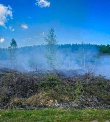 «Скоро дощі – треба поспішати», – вирішили на вихідних закарпатці й подалися палити сухостій