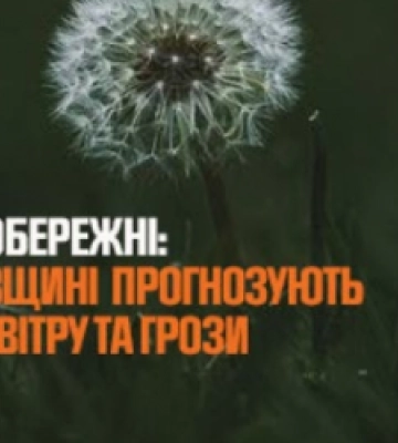 На Львовщину идет ненастье: синоптики предупреждают о грозах, граде и шквалах