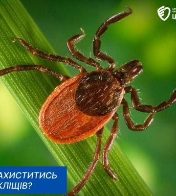 Як захиститись від кліщів?