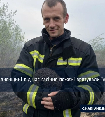 На Волині рятувальники 30 разів виїжджали на гасіння пожеж