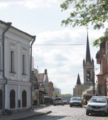 На Волині зацвіли квіти з Нідерландів