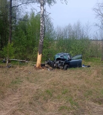 В ДТП на Звягельщині загинув пасажир, а водій отримав тяжкі травми