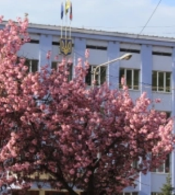 У Рахові сакури лише розпустилася рожевим цвітом