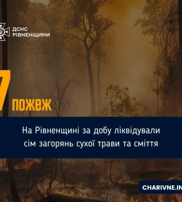 7 пожеж на відкритих територіях було ліквідовано рятувальниками Рівненщини впродовж минулої доби
