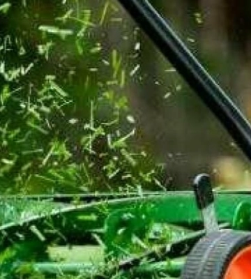 У Львові скасували перший весняний покос трави. Дві причини