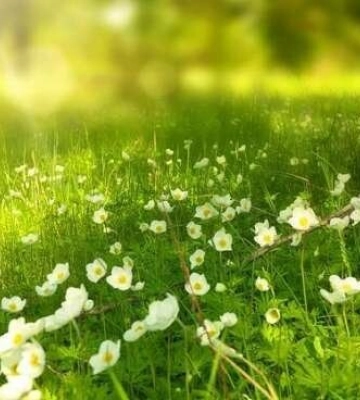Вітер і температура повітря до 29°С: прогноз погоди по Одещині на 16 квітня