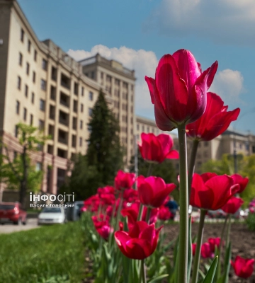 Вранці дощ закінчиться: якою буде погода в Харкові та області 16 квітня