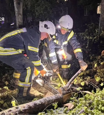 У Запоріжжі через шквальний вітер дерева впали на житловий будинок
