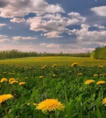 На Одещині сьогодні повітря місцями прогріється до 29°С