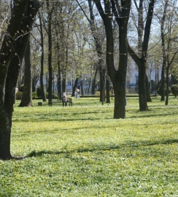 На Полтавщині прогнозують місцями грози