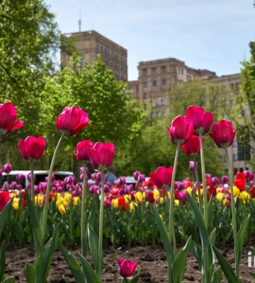 Главные новости Харькова 16 апреля: как прошла ночь, сводка Генштаба
