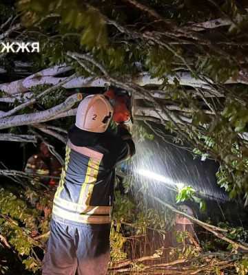 До чого призвела негода в Запорізькій області: ДСНС розповіла про ліквідацію наслідків