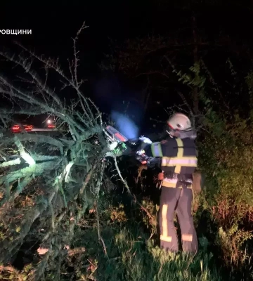 На Дніпропетровщині вітер зносив дахи та виривав дерева (Фото)
