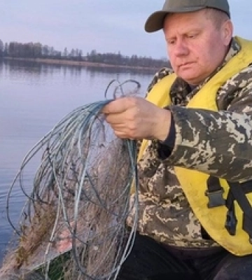 На Волині з браконьєрської сітки звільнили велику пірникозу (відео)